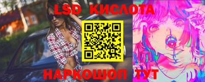 сатива Кингисепп