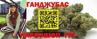 сатива Кингисепп