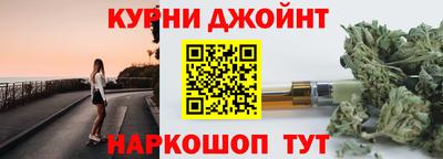 сатива Кингисепп