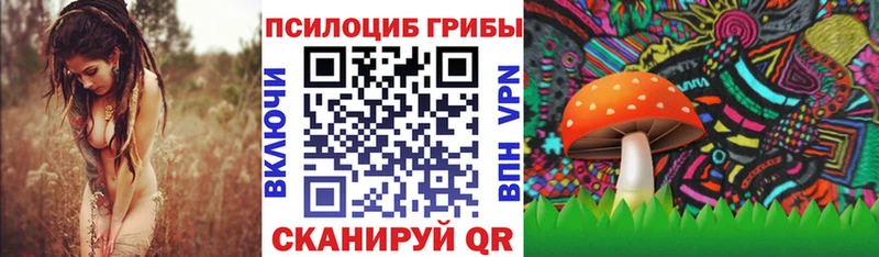 Псилоцибиновые грибы Magic Shrooms  Таганрог 