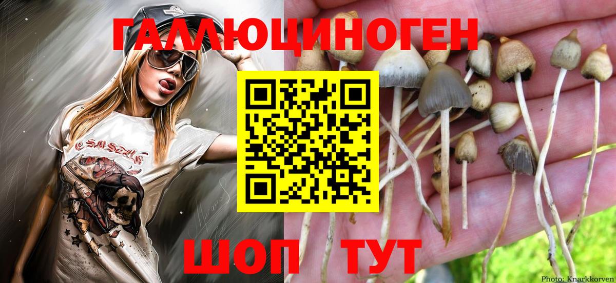 Таганрог  Псилоцибиновые грибы мицелий  Вход с VPN  Галлюциногенные грибы ЛСД 