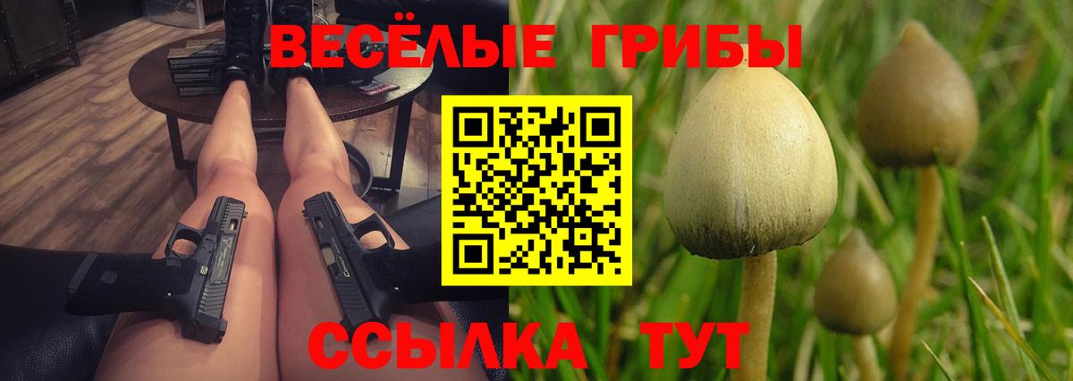 Галлюциногенные грибы Psilocybine cubensis Таганрог
